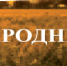 Народные новости - Газета Единство