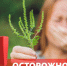 yXiAi8uXHQUlIMp0srwG6pBSrw8c9u-UQVMJ23LDVStAcIamd3zCgeNwxLeaP9trGkntyP2vRzuIvRmWdD4OcL_V - Павловский район