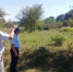 333 - Павловский район
