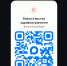 QR - Павловская ЦРБ